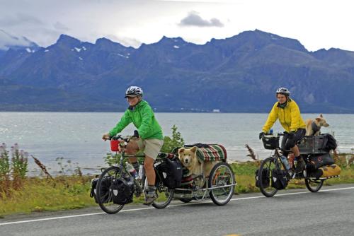 Hello Hello sözleri kulaklarınızda çınlanır bazen beklentileri boşa çıkartmamak için sizde aynı şekilde cevap verirsiniz :)